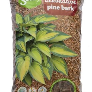 5dda65fc2a934948d13ce5d627482970